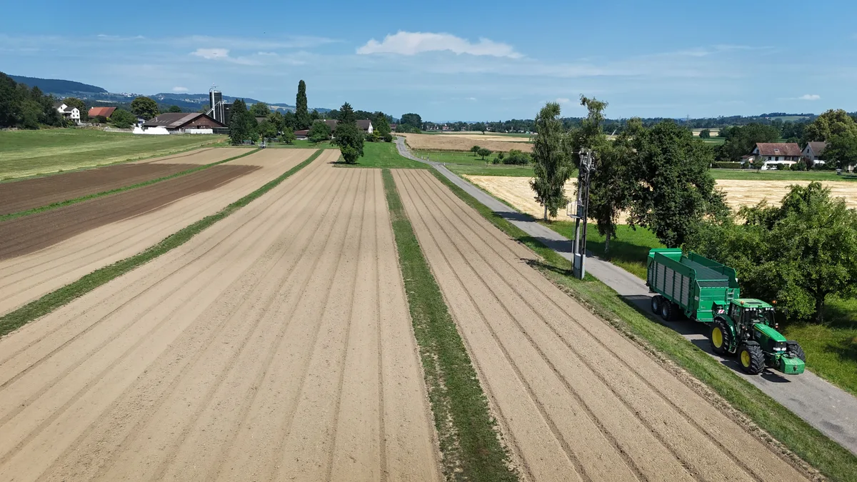 Damit das Feuchtgebiet wiederhergestellt werden kann, muss auch ein Teil der Landwirtschaftsfläche im Gossauerriet weichen. Wo, das ist aber noch offen. Im Gossauerriet will der Kanton ein Feuchtgebiet wiederherstellen, die IG Pro Kulturland findet das eine schlechte Idee.
